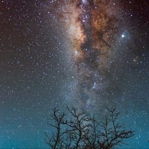 Meet your Posher, Destiny